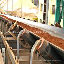 Bande de conveyeur / bande transporteuse ignifuge avec la carcasse de textile solide